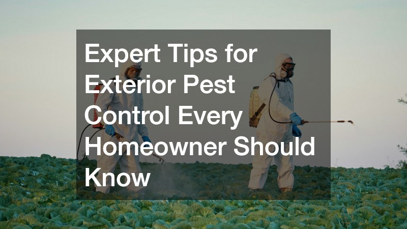 Expert Tips for Exterior Pest Control Every Homeowner Should Know